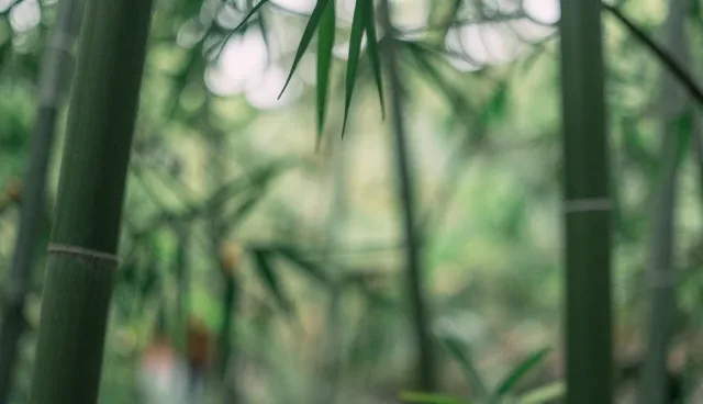 企业管理软件定制中的性能优化与适用场景分析